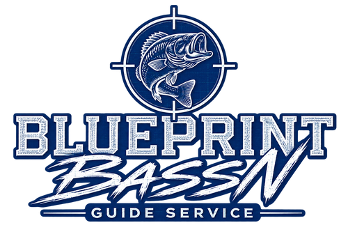 BLUEPRINT BASSN